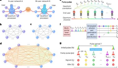 Two independent quantum networks successfully fused into one
