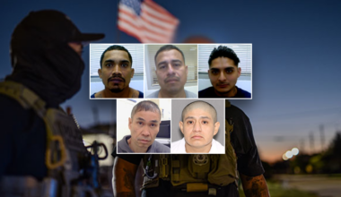 ‘Nightmares and PTSD’ prevented: ICE touts results of Texas crackdown