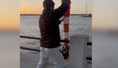 Couple On Seaside Walk Use A Traffic Cone To Save Furry Baby From Drowning