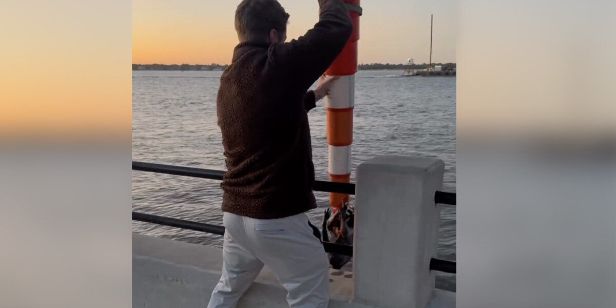 Couple On Seaside Walk Use A Traffic Cone To Save Furry Baby From Drowning