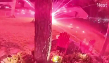 6 teens arrested in escalating Memorial-Stratford high school rivalry involving paintball attacks and fireworks