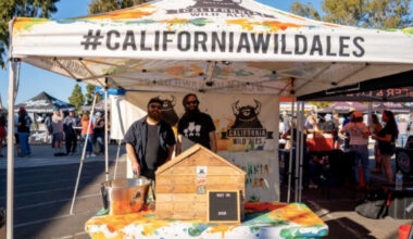 San Diego Beer Week features top event, the Capital of Craft Fest