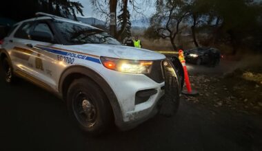 Shots ring out at Universal Ostrich farm in Edgewood, B.C.