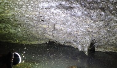 World's Largest Spider Web Discovered in Bizarre Sulfur Cave