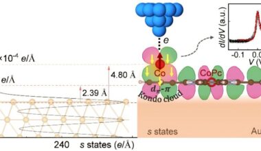 Single organic molecule triggers Kondo effect in molecular-scale 'Kondo box'