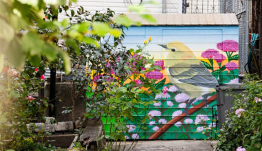 21 New Bird Murals Debut in NYC Community Gardens