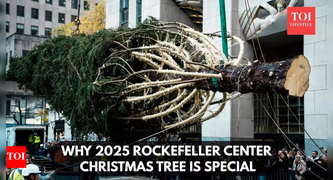 Rockefeller Christmas tree has arrived in NYC and the story behind it will melt your heart |
