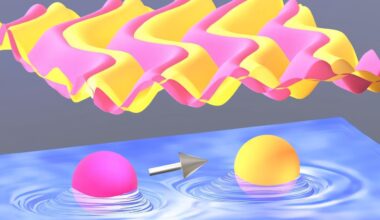 Chasing and splashing molecules create resilient order from apparent chaos, study shows