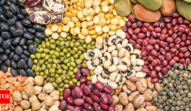 7 magnesium-rich beans and peas: Plant-based support for muscles and nerves |