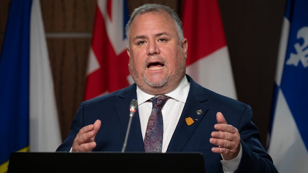 NDP MP ‘very confident’ no New Democrats will cross floor to Liberals as budget vote nears