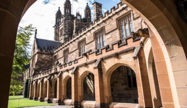 Sydney University report critical of levels of middle management, poor student support and bureaucratic inefficiencies