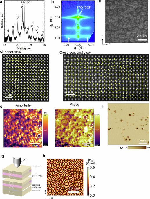 Harness of room-temperature polar skyrmion bag in oxide superlattice
