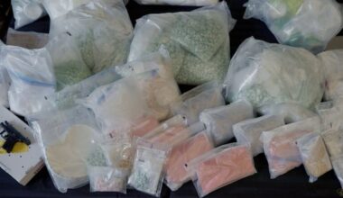 OPP say their largest-ever fentanyl bust was in Windsor