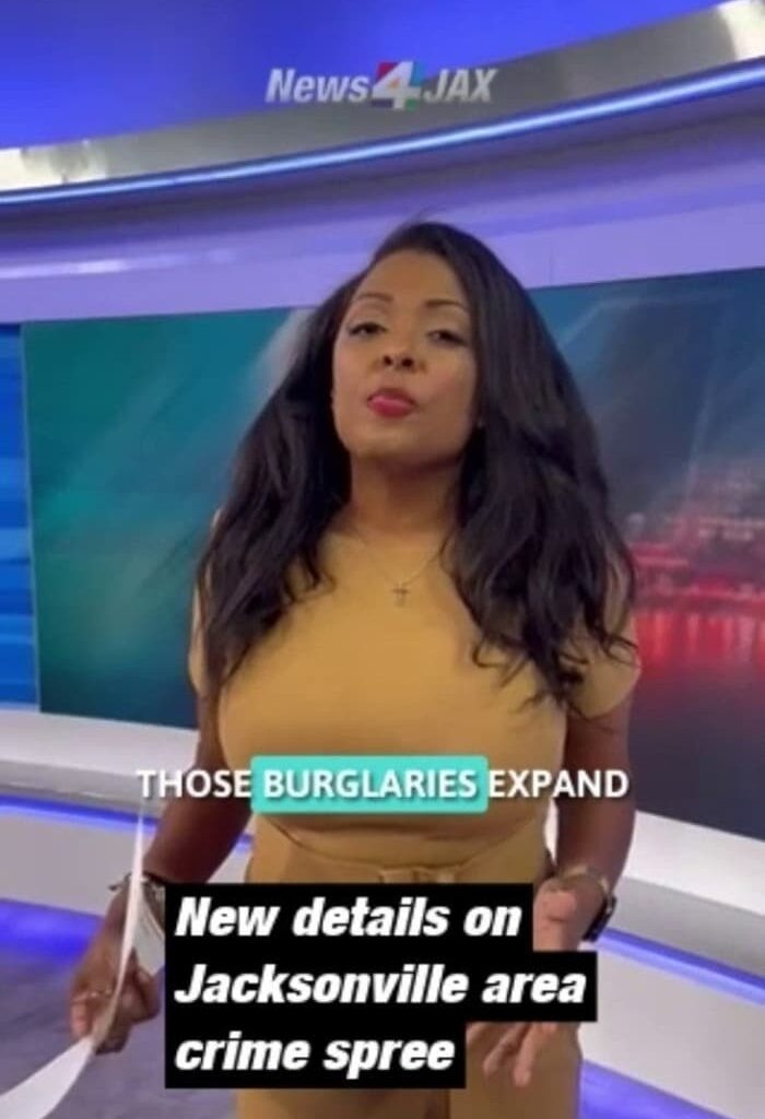 New details on Jacksonville area crime spree that affected multiple businesses