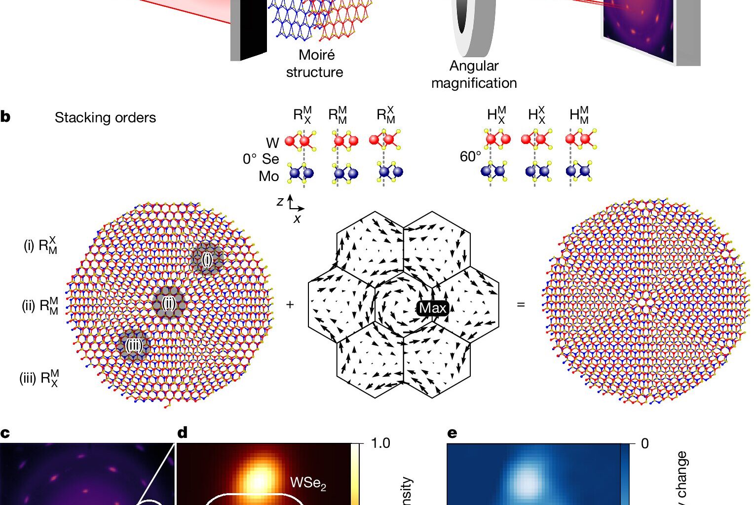 Ultrafast electron diffraction captures atomic layers twisting in response to light