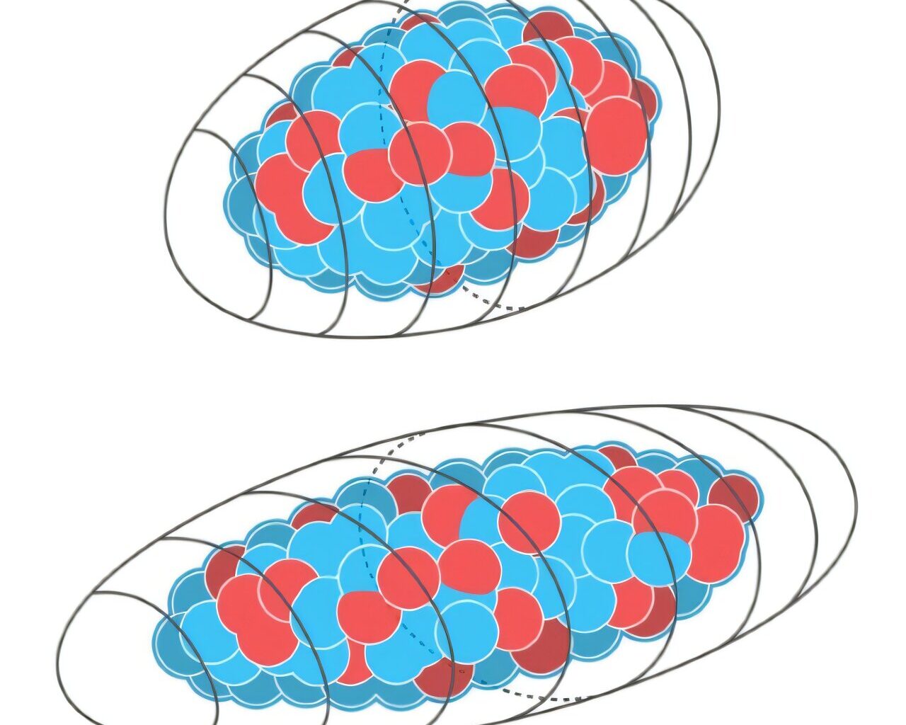 Heavy atomic nuclei are not as symmetric as previously thought, physicists find