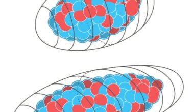Heavy atomic nuclei are not as symmetric as previously thought, physicists find