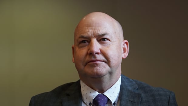 Judge orders election recount in Topsail-Paradise, rejects 2 other Liberal applications