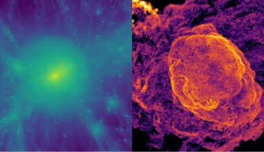 Unraveling the mysteries of radio relics