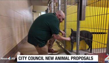 New bills move to strengthen protections for pets in Jacksonville