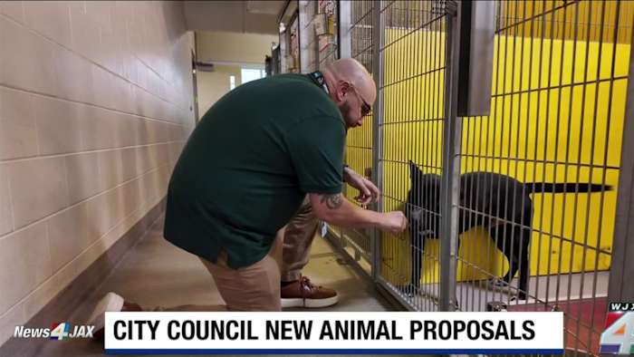New bills move to strengthen protections for pets in Jacksonville
