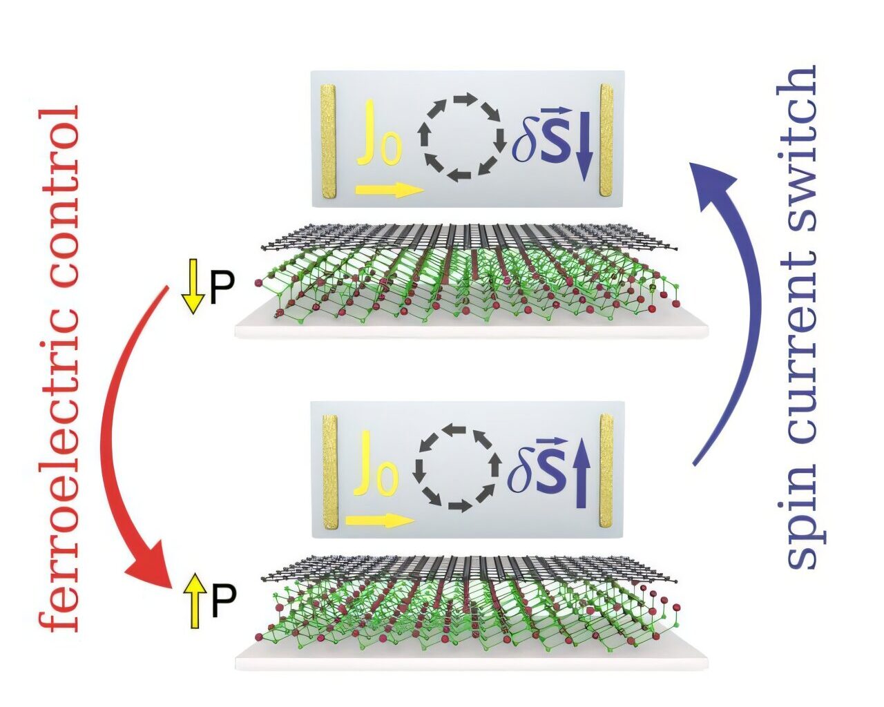 Electrical control of spin currents in graphene via ferroelectric switching achieved