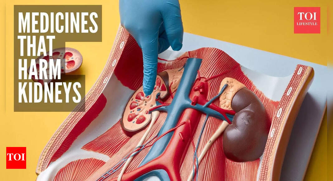 5 common medicines that can damage kidneys and what are the alternatives