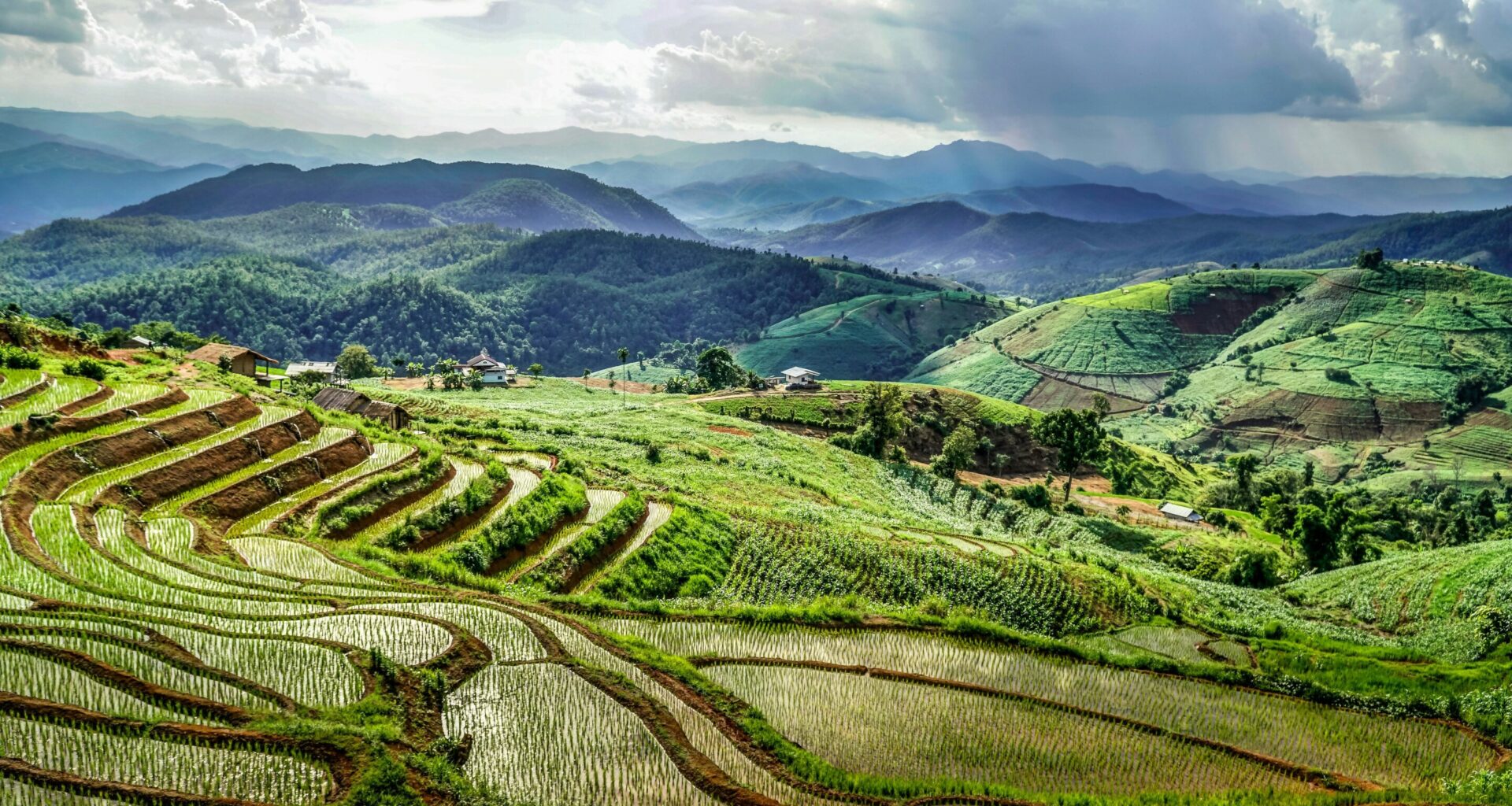 Higher CO₂ levels are making our food more calorific and less nutritious