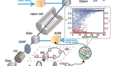 Raman quantum memory demonstrates near-unity performance