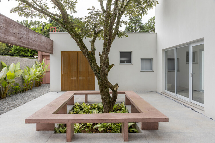 Forest House / RAWI Arquitetura + Design - Interior Photography, Garden, Concrete, Courtyard