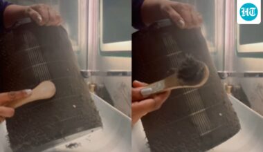 Delhi woman cleans clogged air purifier as city battles severe AQI: ‘Even it deserves a spa day’