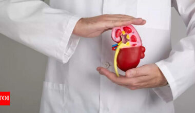 Kidney health: Scientists FINALLY found a ‘simple’ way to reverse kidney damage — when is the cure coming?