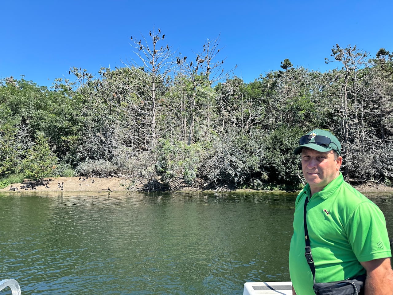 A man stands on a boat with a shoreline in the background and birds nesting in trees.