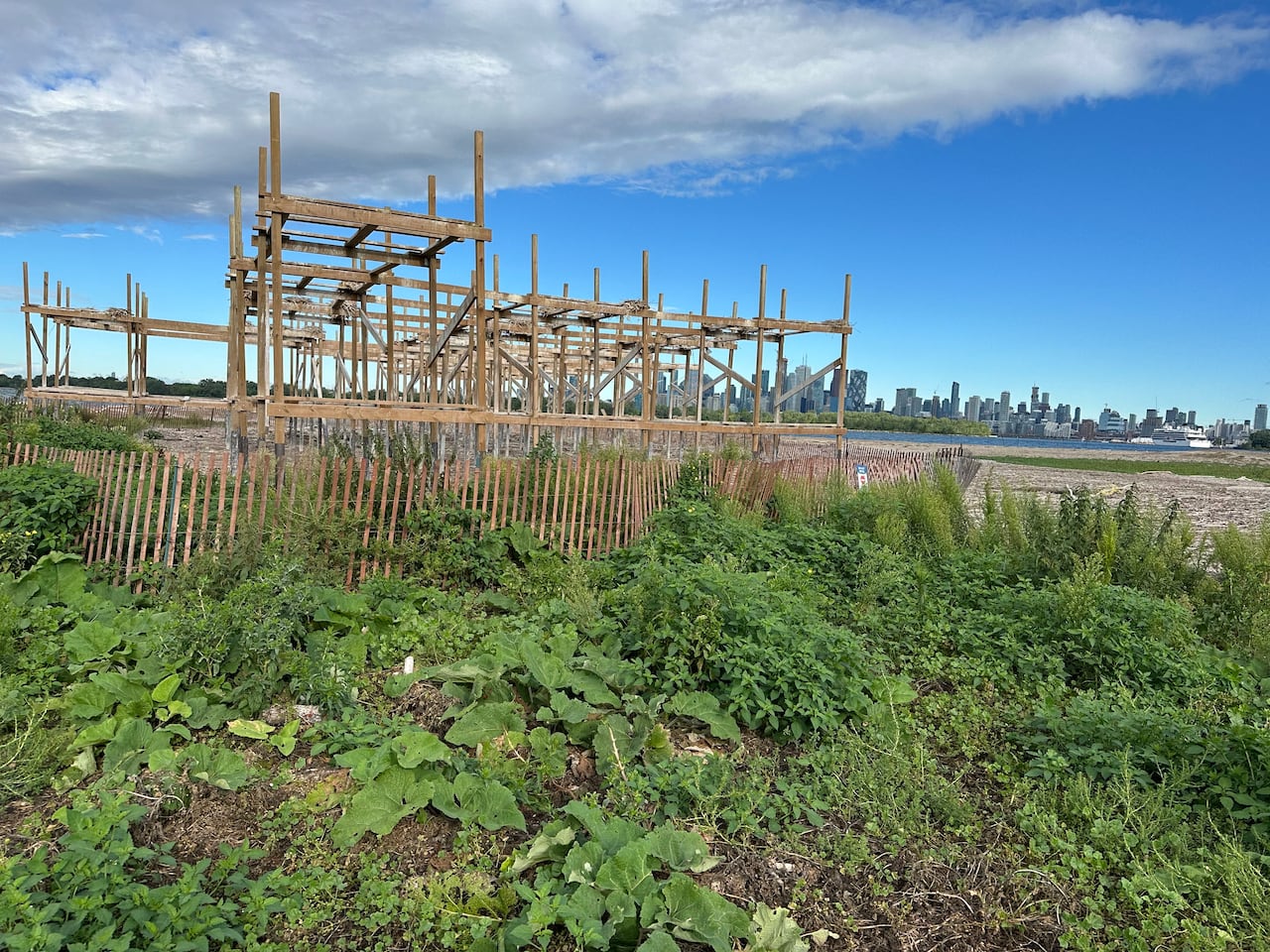 A wooden structure surrounded by shrubbery. 