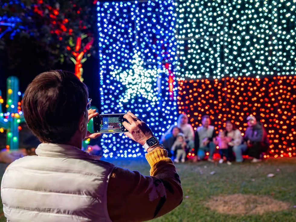 Christmas in the Garden