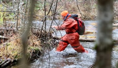 Items discovered during volunteer search for missing N.S. children not relevant: RCMP