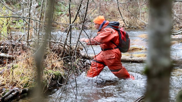 Items discovered during volunteer search for missing N.S. children not relevant: RCMP