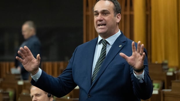 Liberals 'ready for an election' if budget vote fails, says government whip