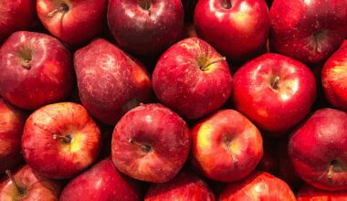 Free Pop-Up Apple Orchard Arrives in Manhattan: Where, Why and How