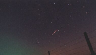 Look up tonight—the Leonid meteor shower will peak again under clear skies