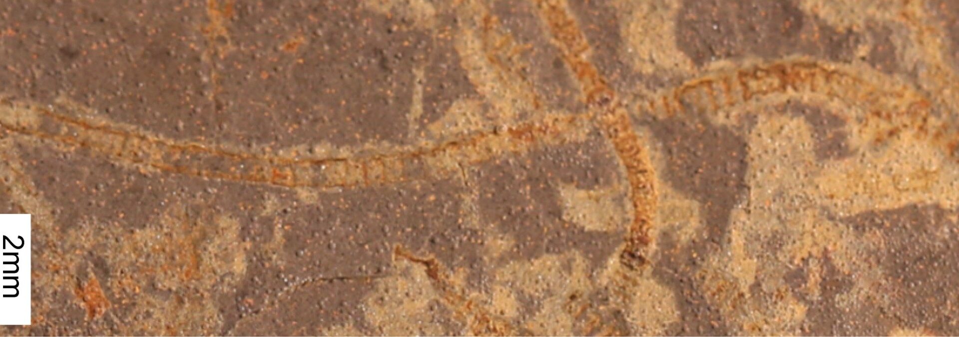 Earth's earliest life 3.3 billion years ago revealed by faint biosignatures