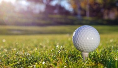 Bain Capital Buys Golf Course Company