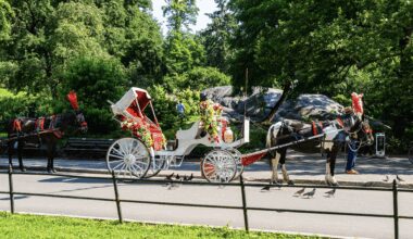 NYC Horse-Drawn Carriages Survive Ryder’s Law Vote: Here is What Happened
