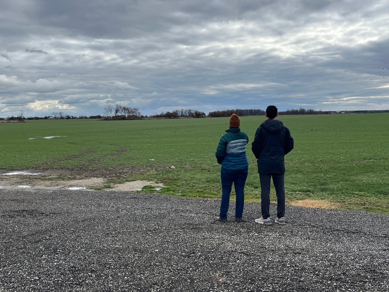 Two people look at a vast field