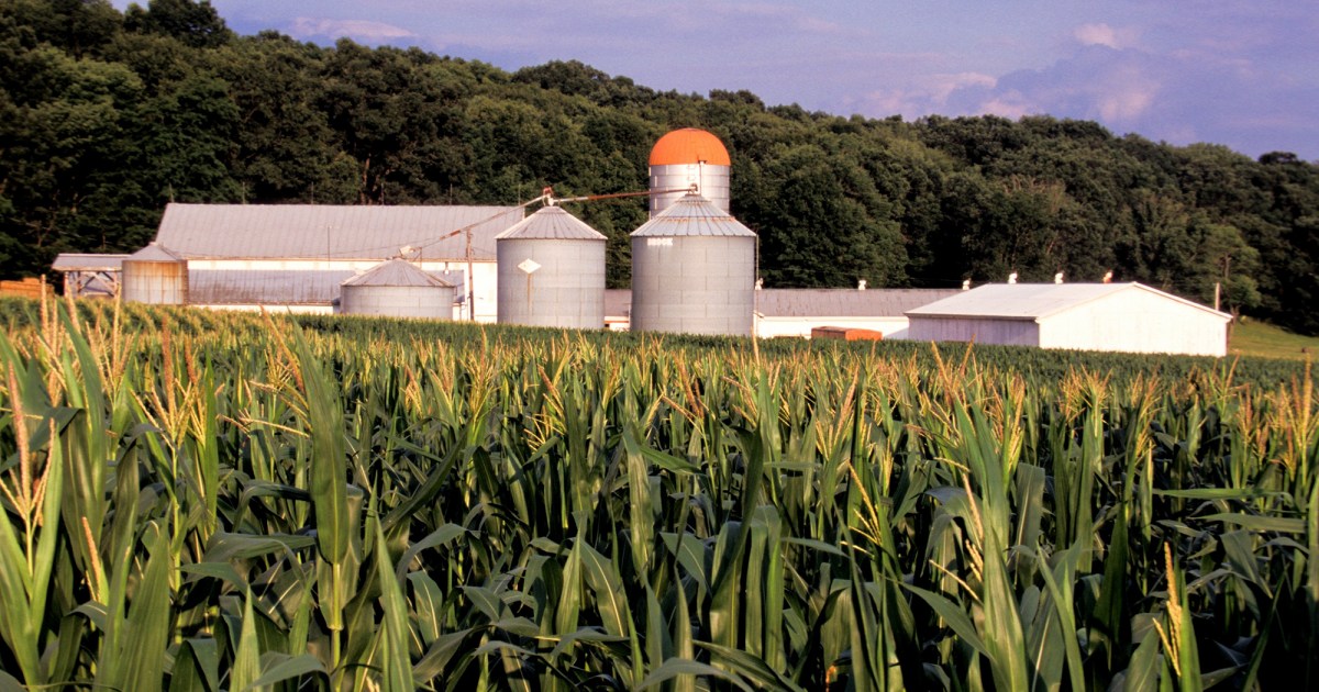 This Ohio County Banned Commercial Wind and Solar. Not So Fast, Residents Said. – Mother Jones