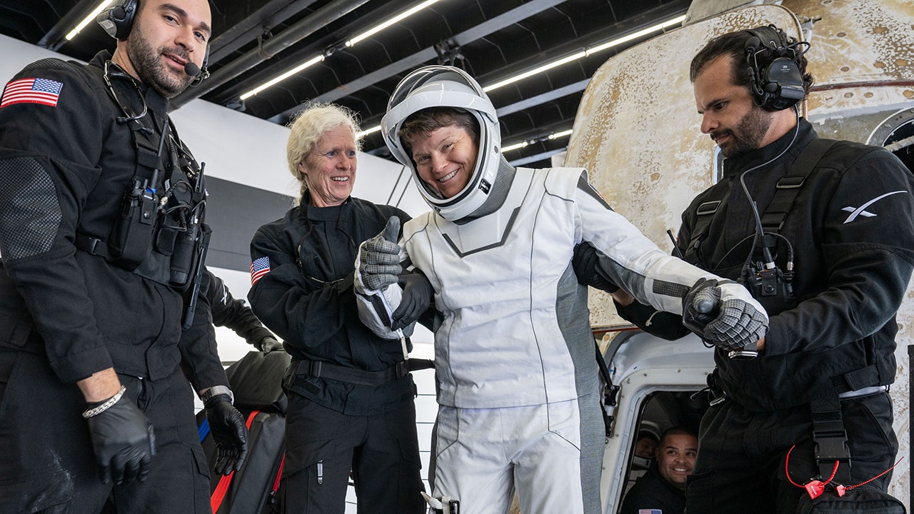 NASA astronaut's estranged wife pleads guilty to making up alleged space crime