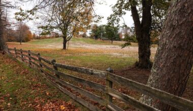 Village law could incentivize new golf course in Brookville