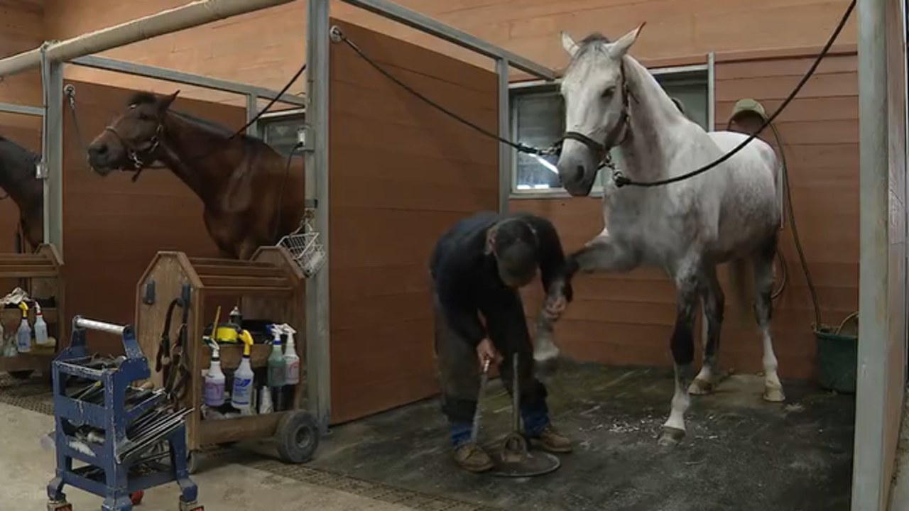 NTX horse events stalled by deadly virus outbreak