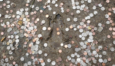 The Chicago Rat Hole wasn’t made by a rat—but it was perfectly, hilarious Chicago