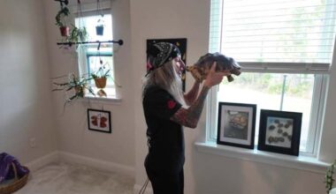 Endangered tortoise inspires Jacksonville conservation movement